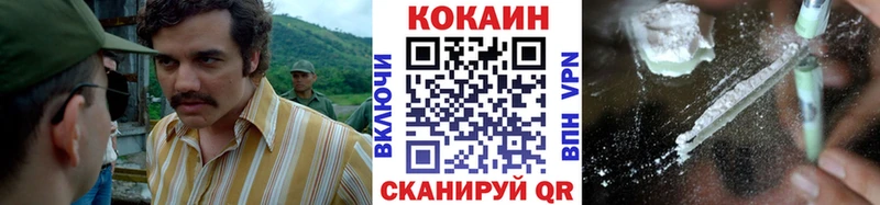 Cocaine FishScale  Купить  Болотное 
