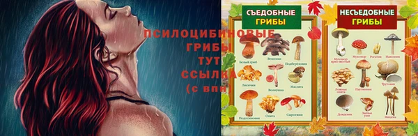 амф Вязьма